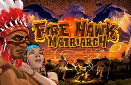 FIRE HAWK MATRIARCH